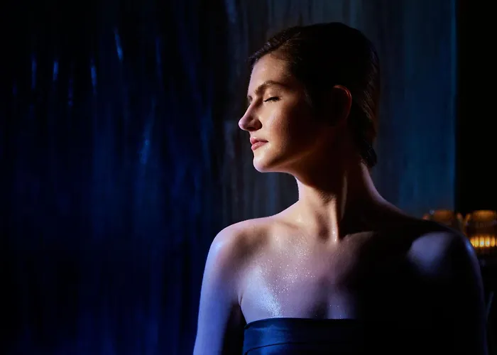 ホテル シェラトン アスロン