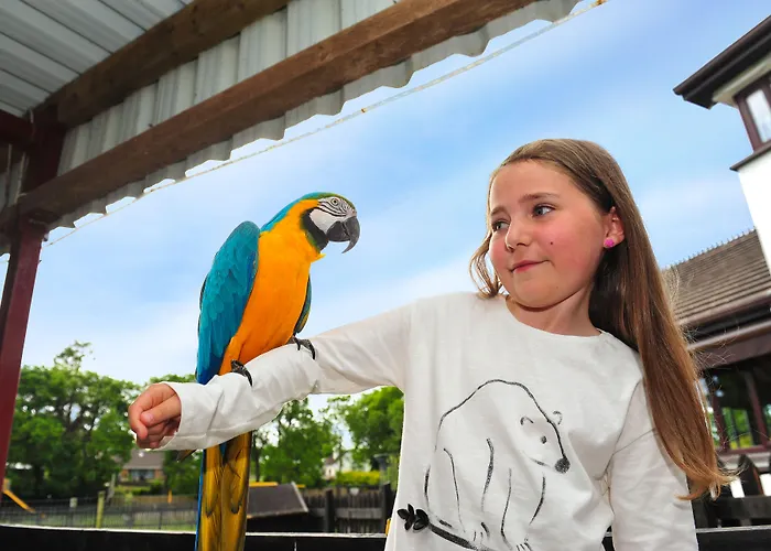 シェラトン アスロン 4*